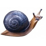 cible escargot pour sarbacane